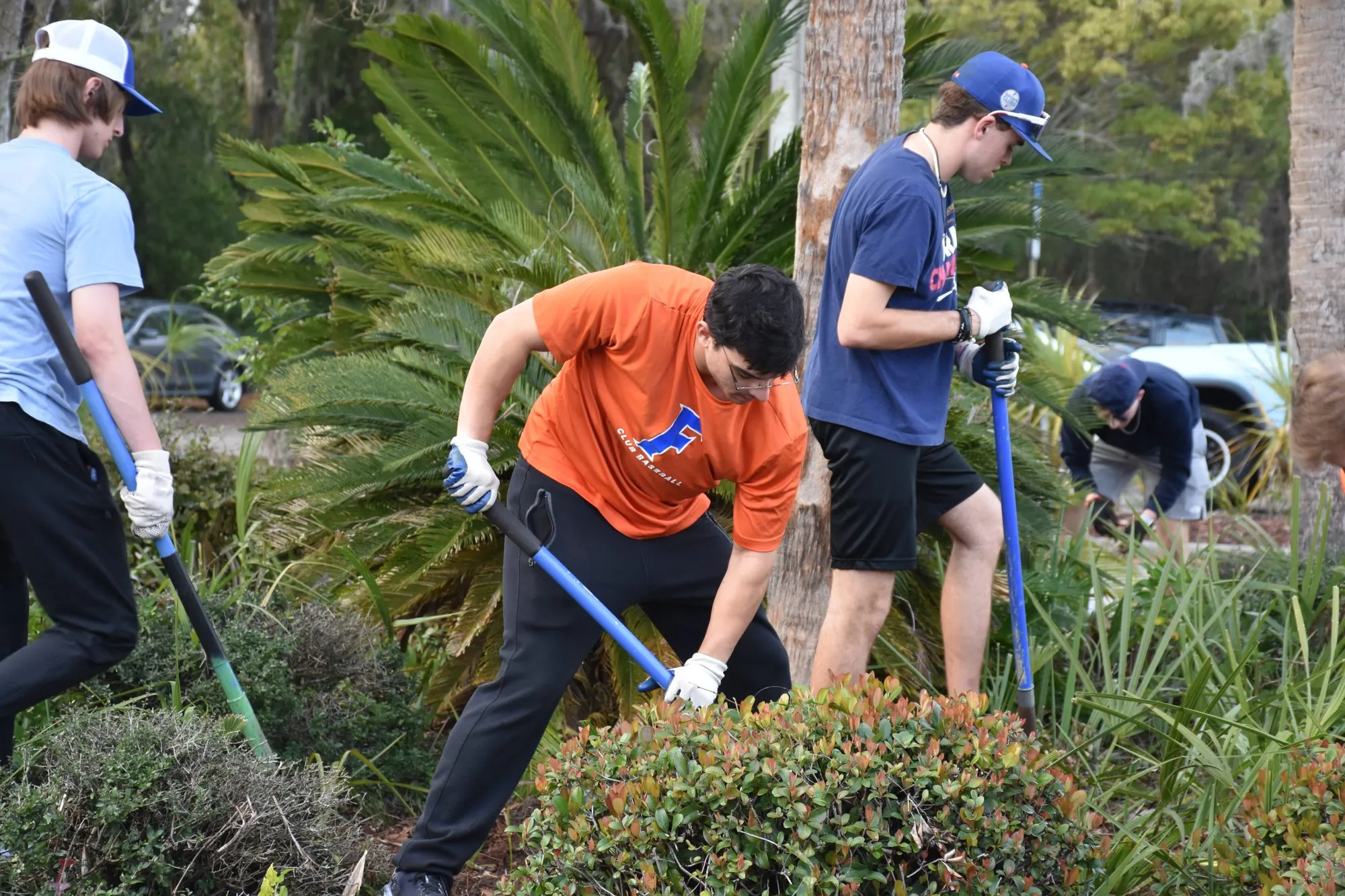 Project Makeover 2024, photo 15